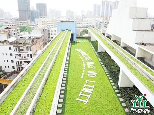 屋頂綠化效果展現