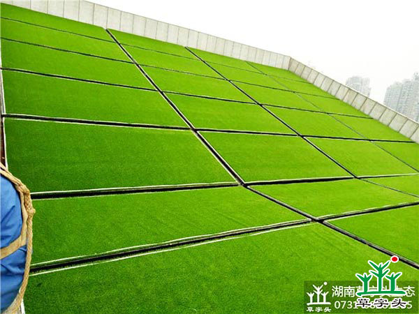 湘潭市博物館與規劃館，屋頂人造草皮綠化施工案例